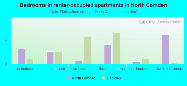 Bedrooms in renter-occupied apartments in North Camden