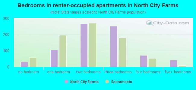 Bedrooms in renter-occupied apartments in North City Farms