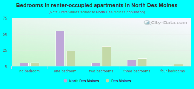 Bedrooms in renter-occupied apartments in North Des Moines