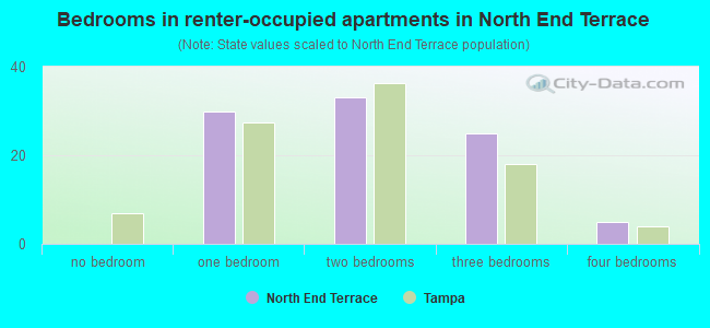 Bedrooms in renter-occupied apartments in North End Terrace
