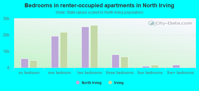 Bedrooms in renter-occupied apartments in North Irving