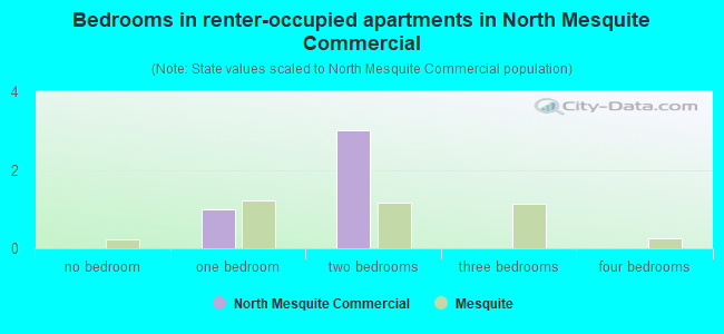 Bedrooms in renter-occupied apartments in North Mesquite Commercial