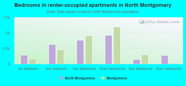 Bedrooms in renter-occupied apartments in North Montgomery