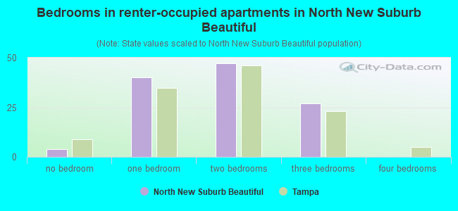 Bedrooms in renter-occupied apartments in North New Suburb Beautiful