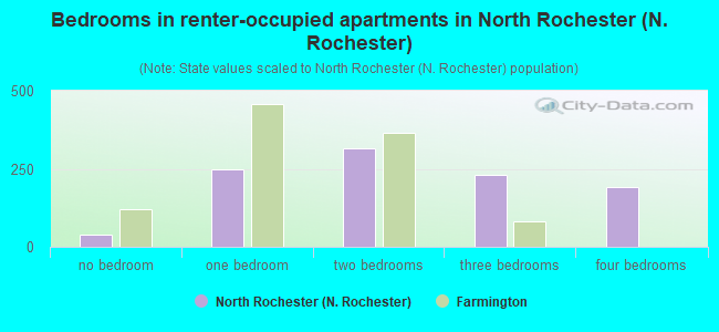 Bedrooms in renter-occupied apartments in North Rochester (N. Rochester)