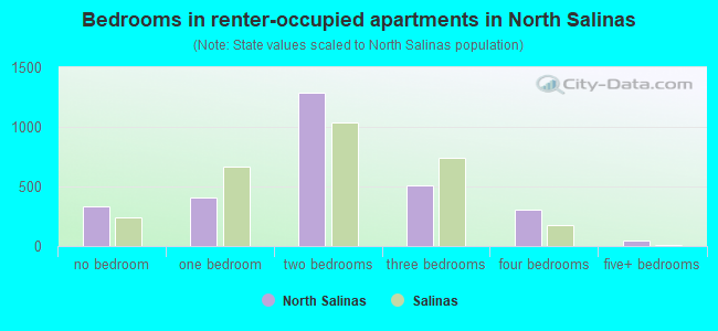Bedrooms in renter-occupied apartments in North Salinas
