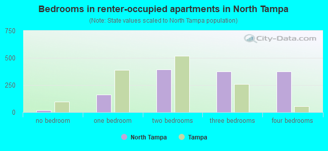 Bedrooms in renter-occupied apartments in North Tampa