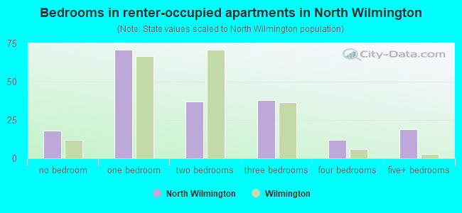 Bedrooms in renter-occupied apartments in North Wilmington