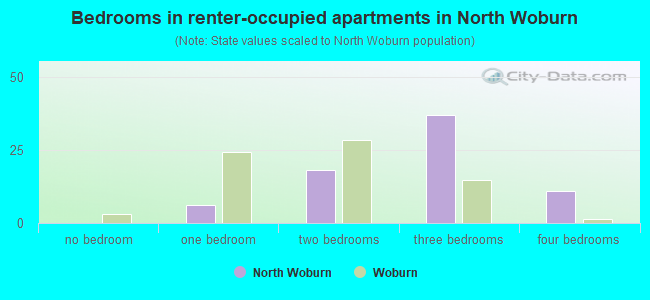 Bedrooms in renter-occupied apartments in North Woburn