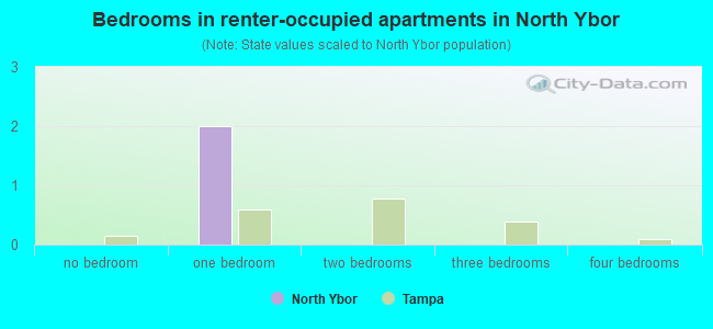 Bedrooms in renter-occupied apartments in North Ybor