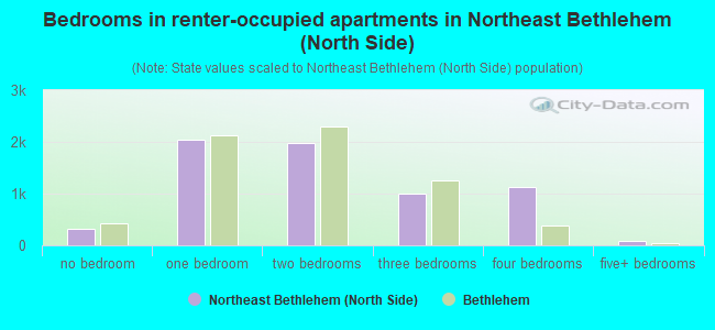 Bedrooms in renter-occupied apartments in Northeast Bethlehem (North Side)