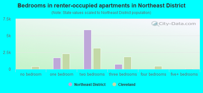Bedrooms in renter-occupied apartments in Northeast District
