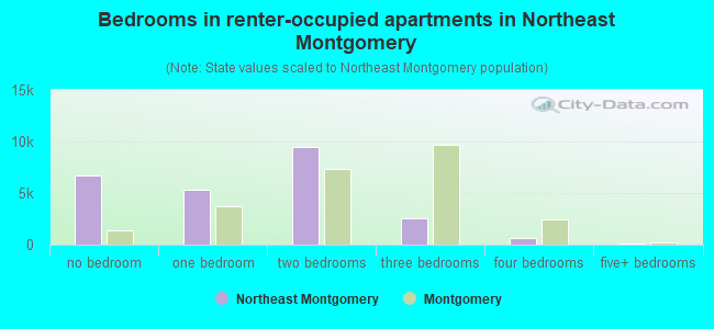 Bedrooms in renter-occupied apartments in Northeast Montgomery