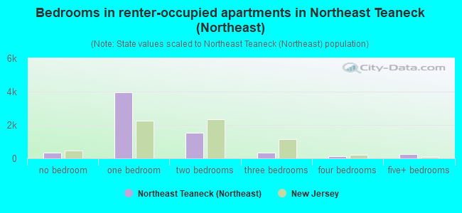 Bedrooms in renter-occupied apartments in Northeast Teaneck (Northeast)