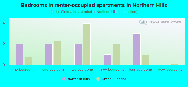 Bedrooms in renter-occupied apartments in Northern Hills