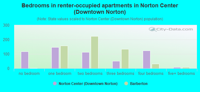 Bedrooms in renter-occupied apartments in Norton Center (Downtown Norton)