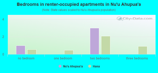 Bedrooms in renter-occupied apartments in Nu`u Ahupua`a