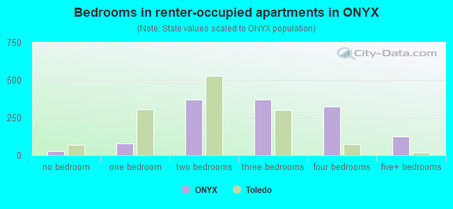 Bedrooms in renter-occupied apartments in ONYX