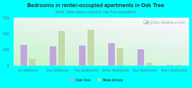 Bedrooms in renter-occupied apartments in Oak Tree