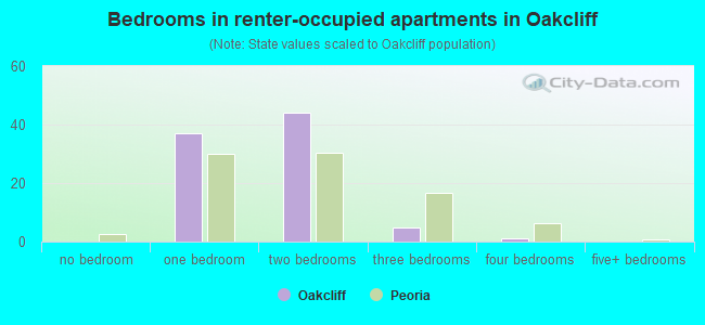 Bedrooms in renter-occupied apartments in Oakcliff