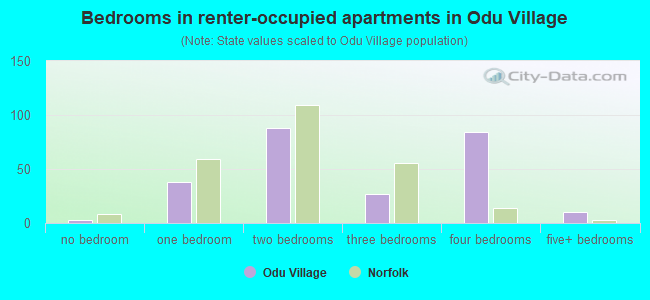 Bedrooms in renter-occupied apartments in Odu Village