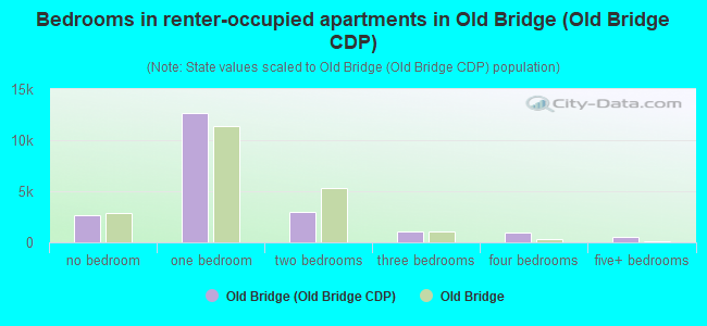 Bedrooms in renter-occupied apartments in Old Bridge (Old Bridge CDP)