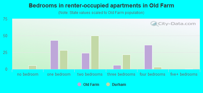 Bedrooms in renter-occupied apartments in Old Farm