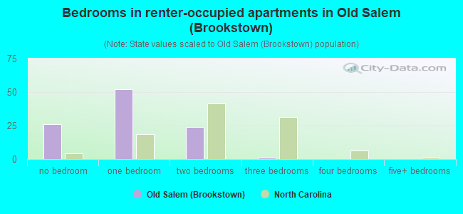 Bedrooms in renter-occupied apartments in Old Salem (Brookstown)