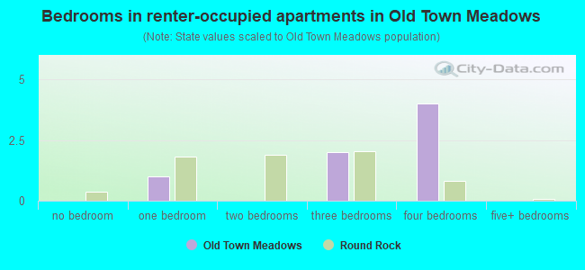 Bedrooms in renter-occupied apartments in Old Town Meadows