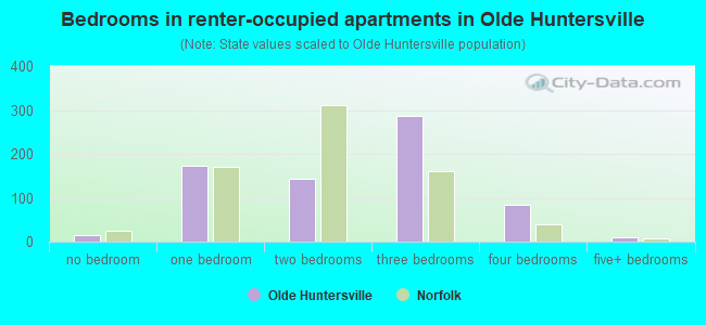Bedrooms in renter-occupied apartments in Olde Huntersville