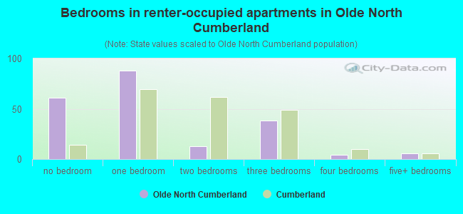 Bedrooms in renter-occupied apartments in Olde North Cumberland