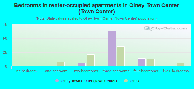 Bedrooms in renter-occupied apartments in Olney Town Center (Town Center)