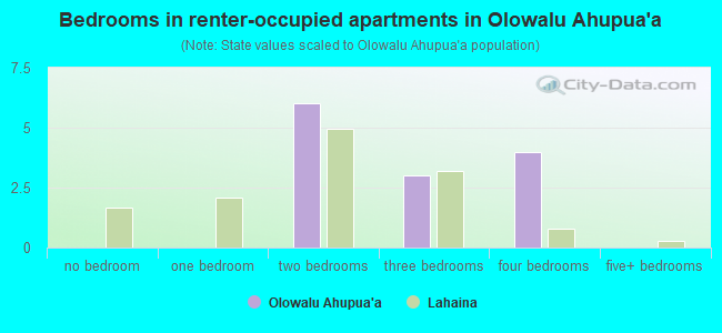 Bedrooms in renter-occupied apartments in Olowalu Ahupua`a