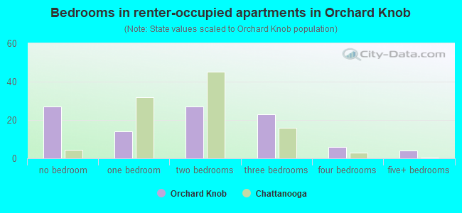 Bedrooms in renter-occupied apartments in Orchard Knob