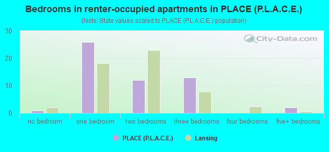 Bedrooms in renter-occupied apartments in PLACE (P.L.A.C.E.)