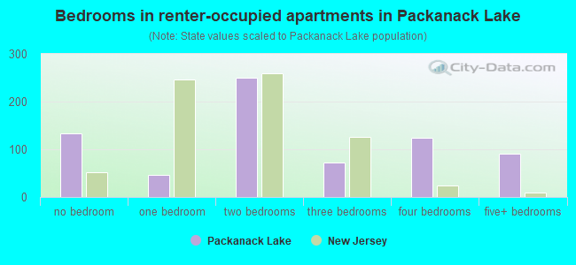 Bedrooms in renter-occupied apartments in Packanack Lake