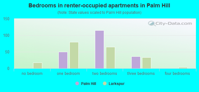 Bedrooms in renter-occupied apartments in Palm Hill