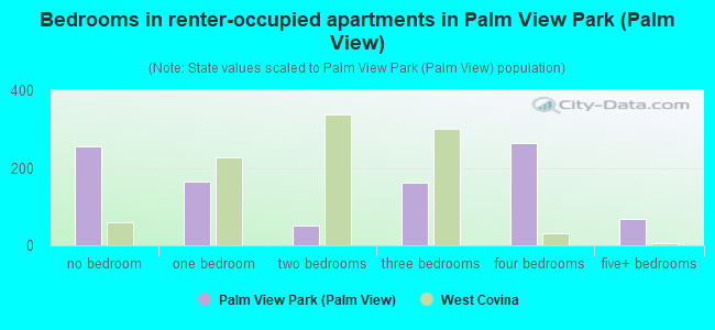 Bedrooms in renter-occupied apartments in Palm View Park (Palm View)