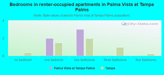 Bedrooms in renter-occupied apartments in Palma Vista at Tampa Palms