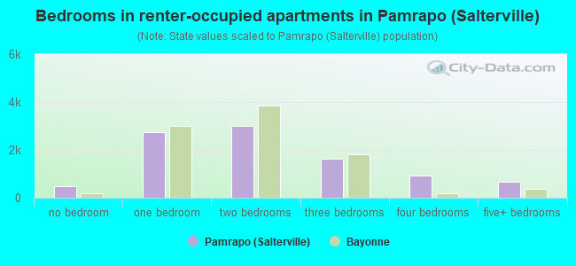 Bedrooms in renter-occupied apartments in Pamrapo (Salterville)