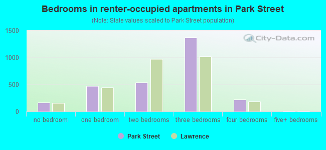 Bedrooms in renter-occupied apartments in Park Street