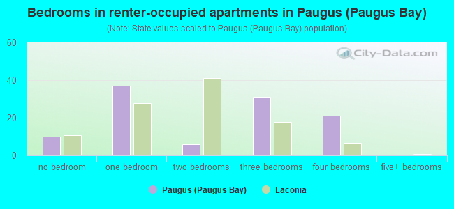 Bedrooms in renter-occupied apartments in Paugus (Paugus Bay)