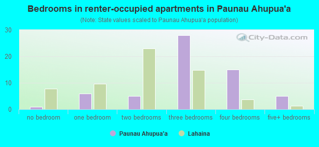 Bedrooms in renter-occupied apartments in Paunau Ahupua`a