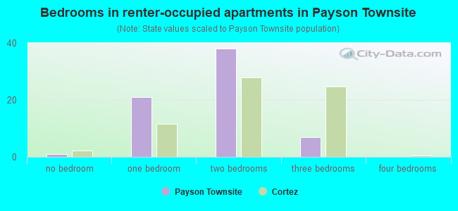 Bedrooms in renter-occupied apartments in Payson Townsite