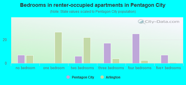 Bedrooms in renter-occupied apartments in Pentagon City