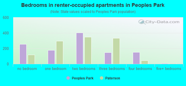 Bedrooms in renter-occupied apartments in Peoples Park