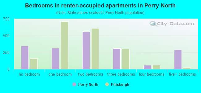 Bedrooms in renter-occupied apartments in Perry North