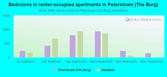 Bedrooms in renter-occupied apartments in Peterstown (The Burg)