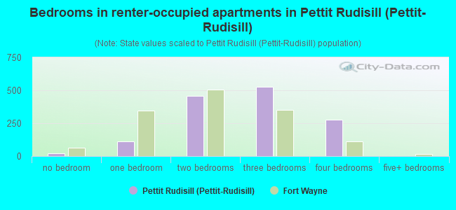 Bedrooms in renter-occupied apartments in Pettit Rudisill (Pettit-Rudisill)