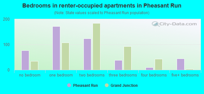 Bedrooms in renter-occupied apartments in Pheasant Run